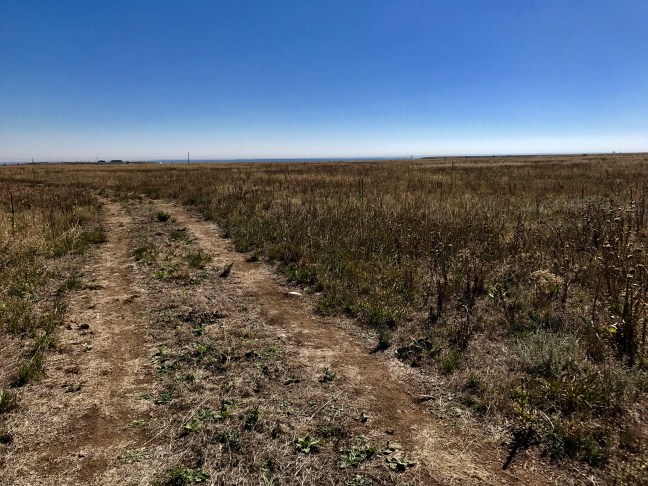 7D936D4E-0A1F-4EAF-95DE-A1BB5682CCC1