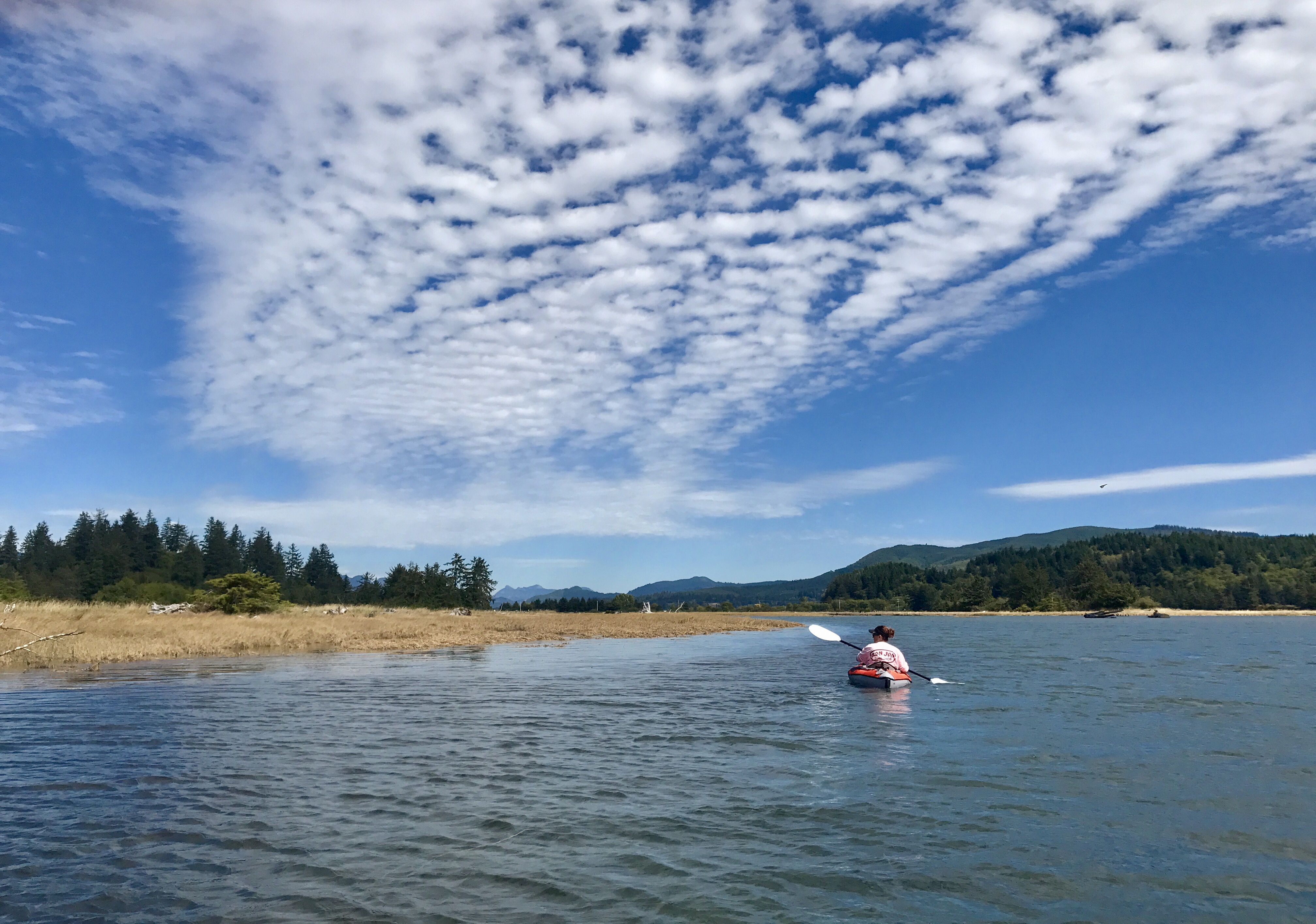 46DF1AB2-67F7-4D3B-AAD9-B88D4778AEC3