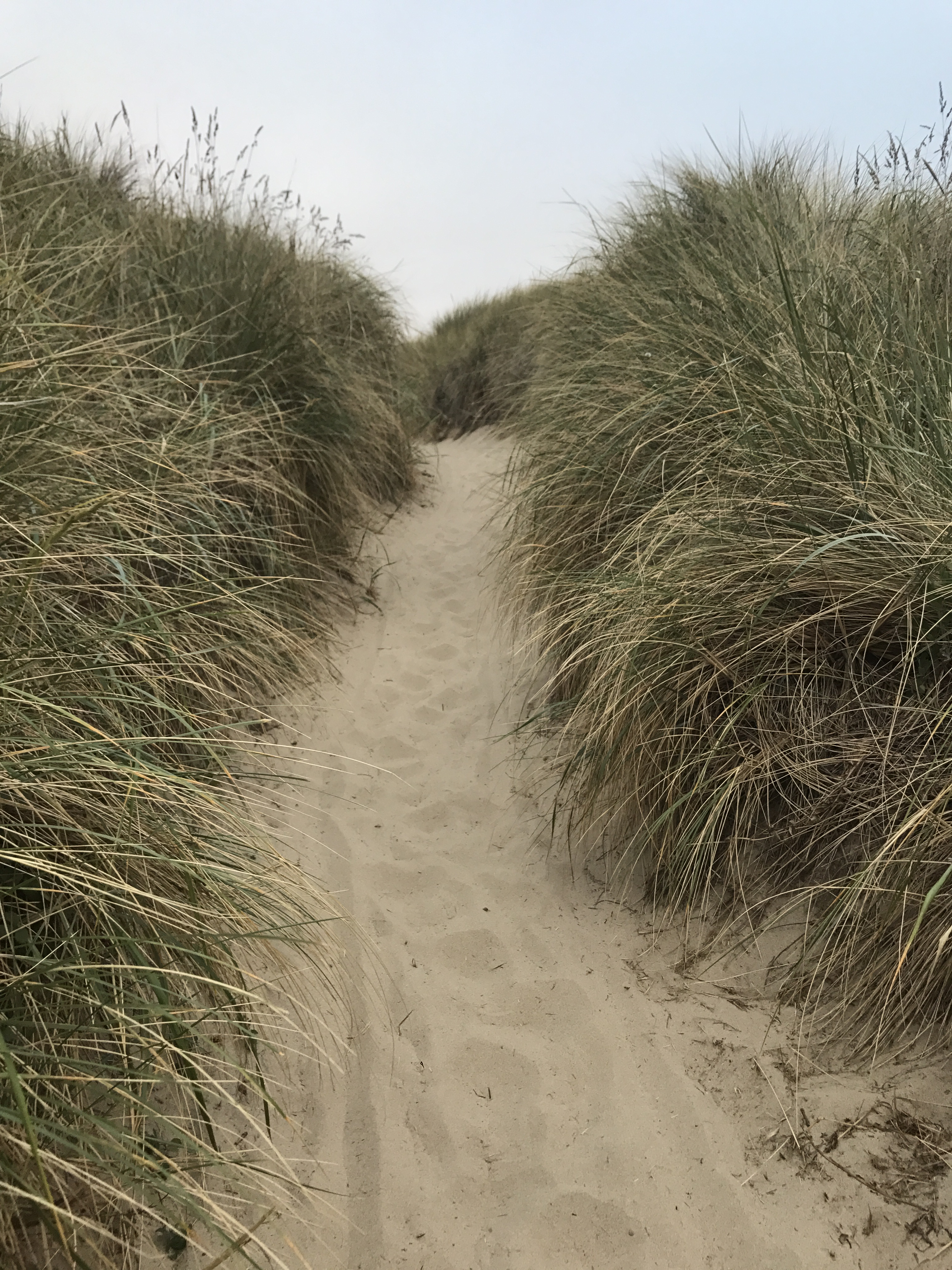 88FFB4F2-032E-4700-9C67-5E151427D9D7