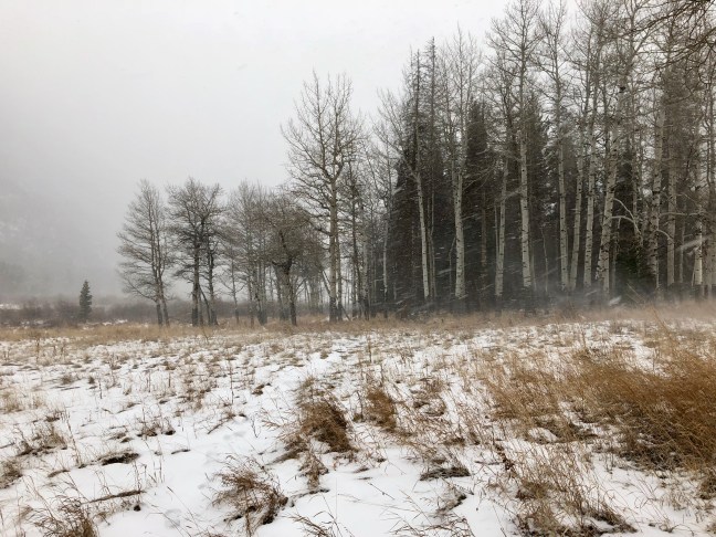 6399DBA7-4519-4B4B-99FD-C8D1CDF8C455