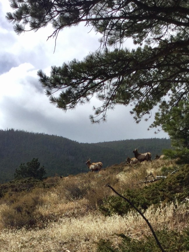 8FAE2E29-0537-465E-92E8-A644C769BA97