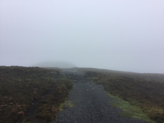 7F8C26CE-76C9-44B6-B737-6DB0B9275BFB