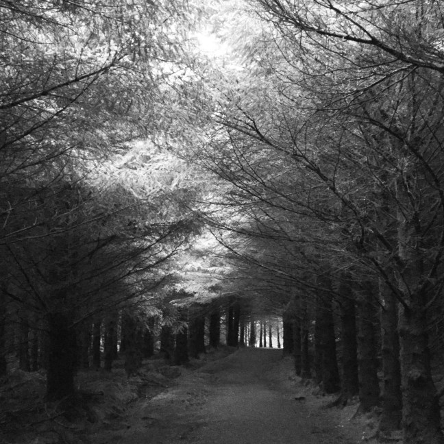 ADEB54B8-3646-466D-A296-1DAE4938FD7C