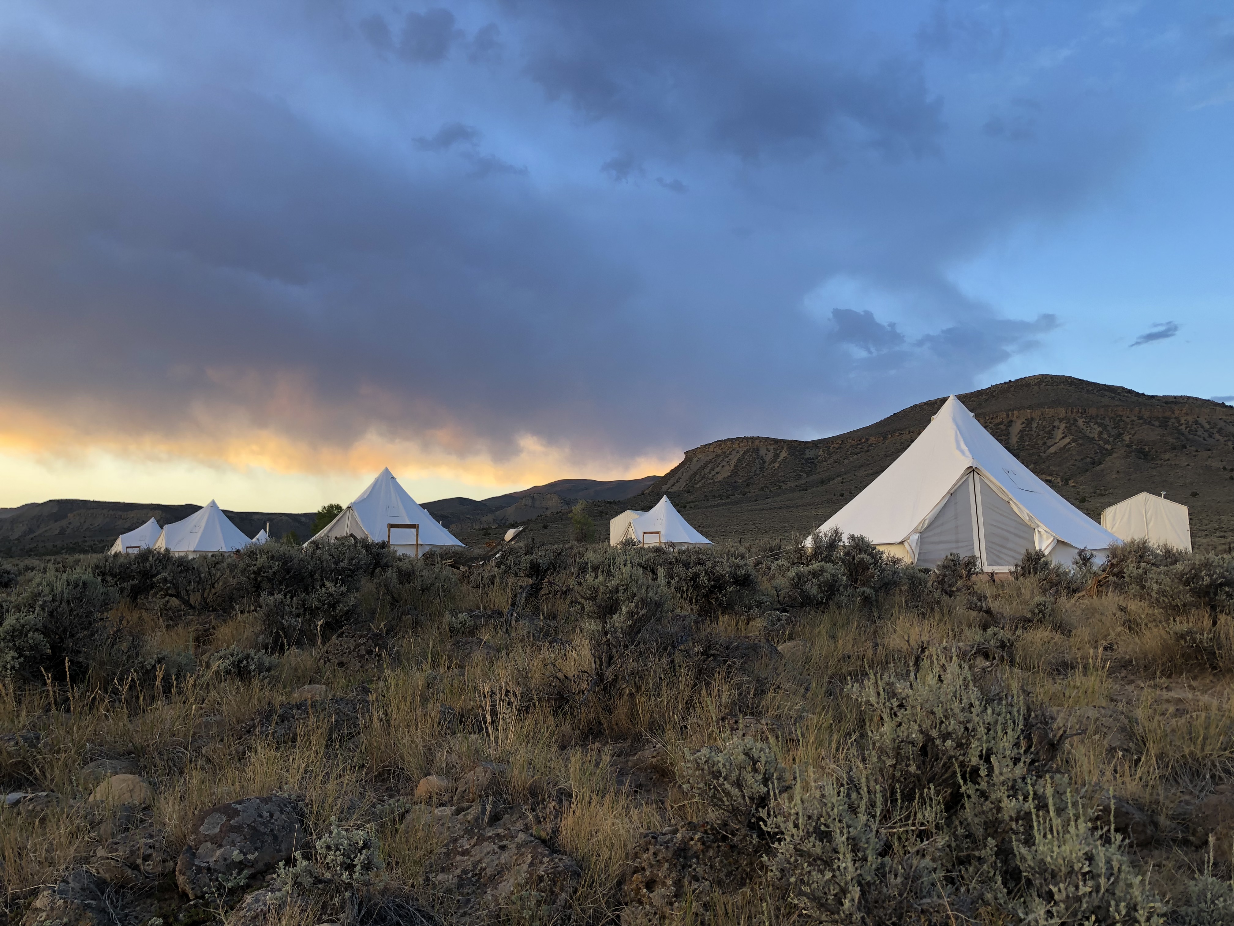 2F529A7A-FA80-4797-8EA4-EAA951B83804