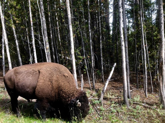 027824A1-D89E-47AA-BDA8-331F2EFB6101