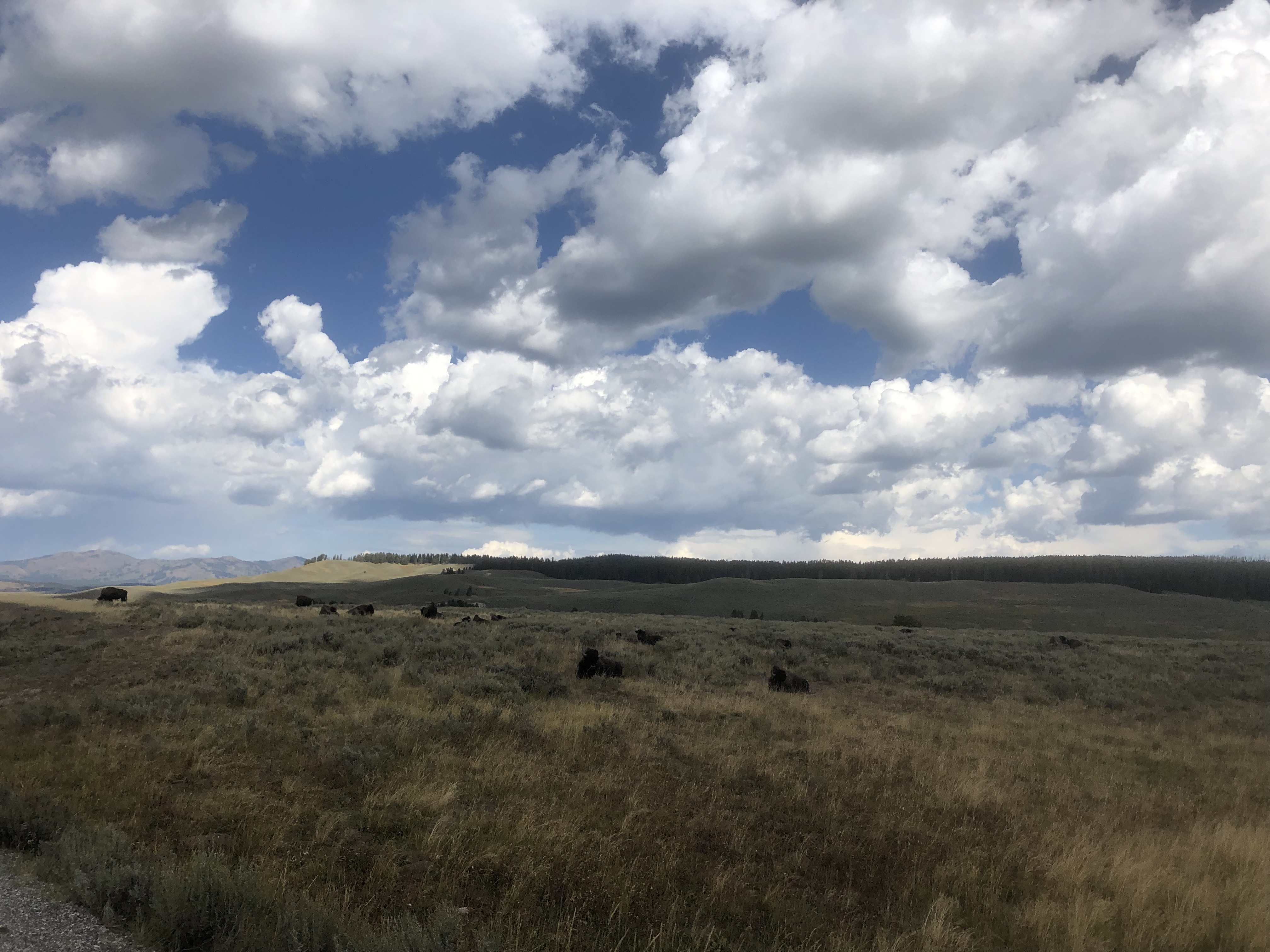 5CB6ADF1-FF21-4045-B4C7-0145F942A676