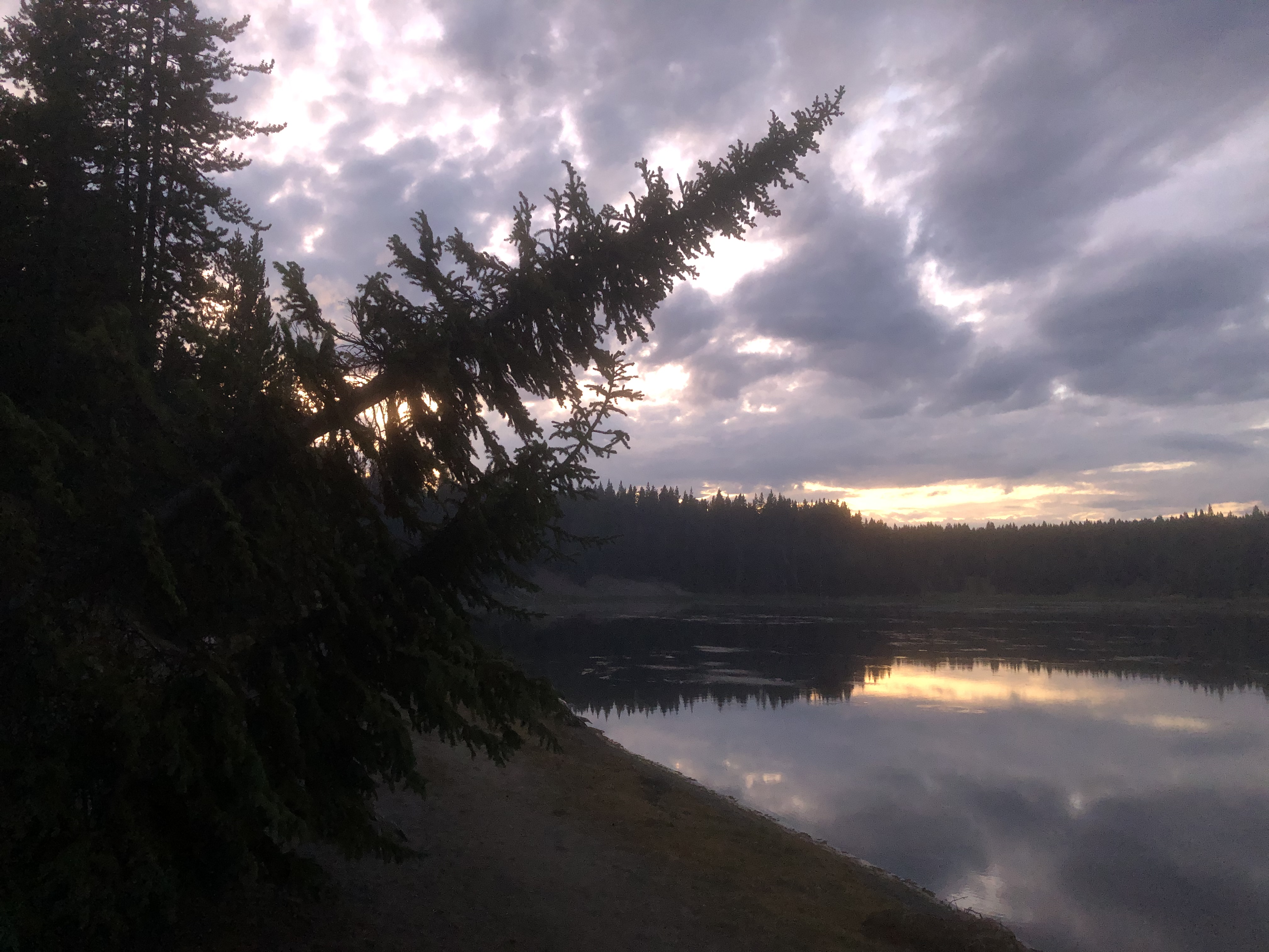 A00B035A-E8E7-4BAE-A575-A10CD717971C