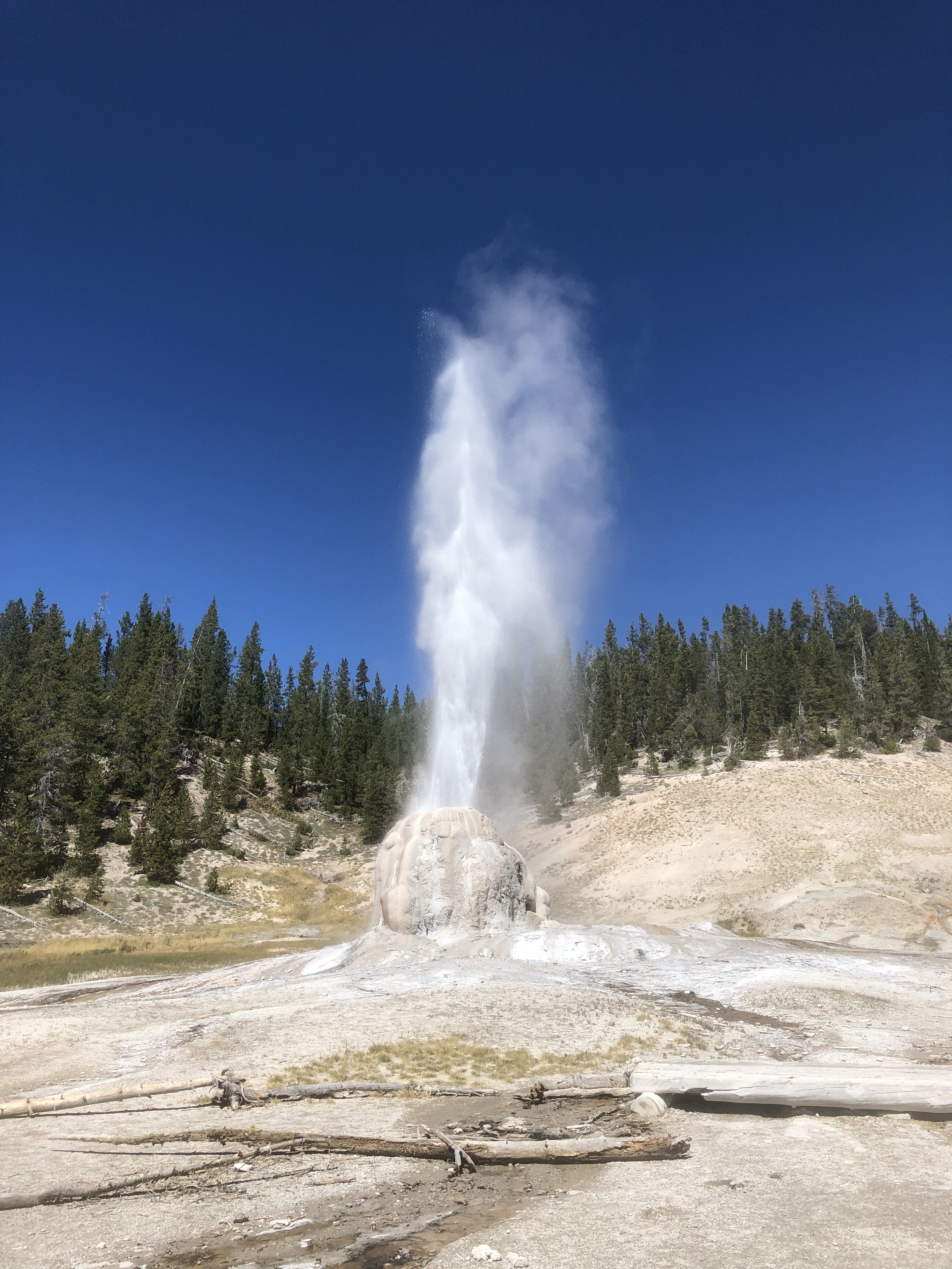B19F86D4-0F7B-4A51-AAA9-7AB5BFD2794C