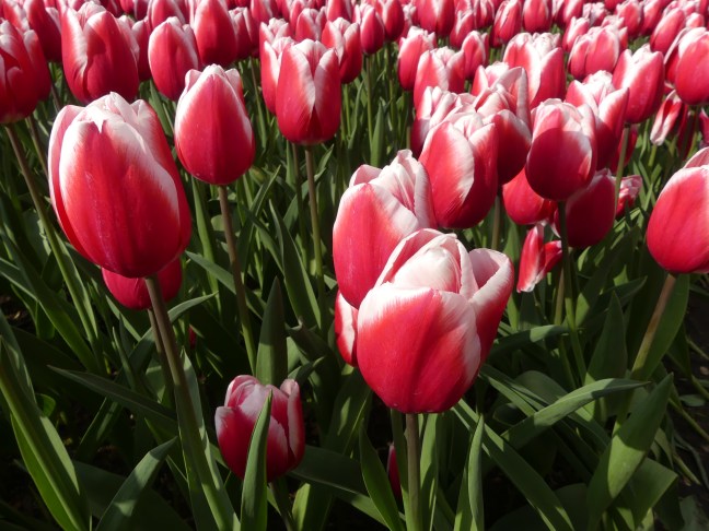 8746B8DE-328D-4A5E-B74C-97CF1FA8EB50