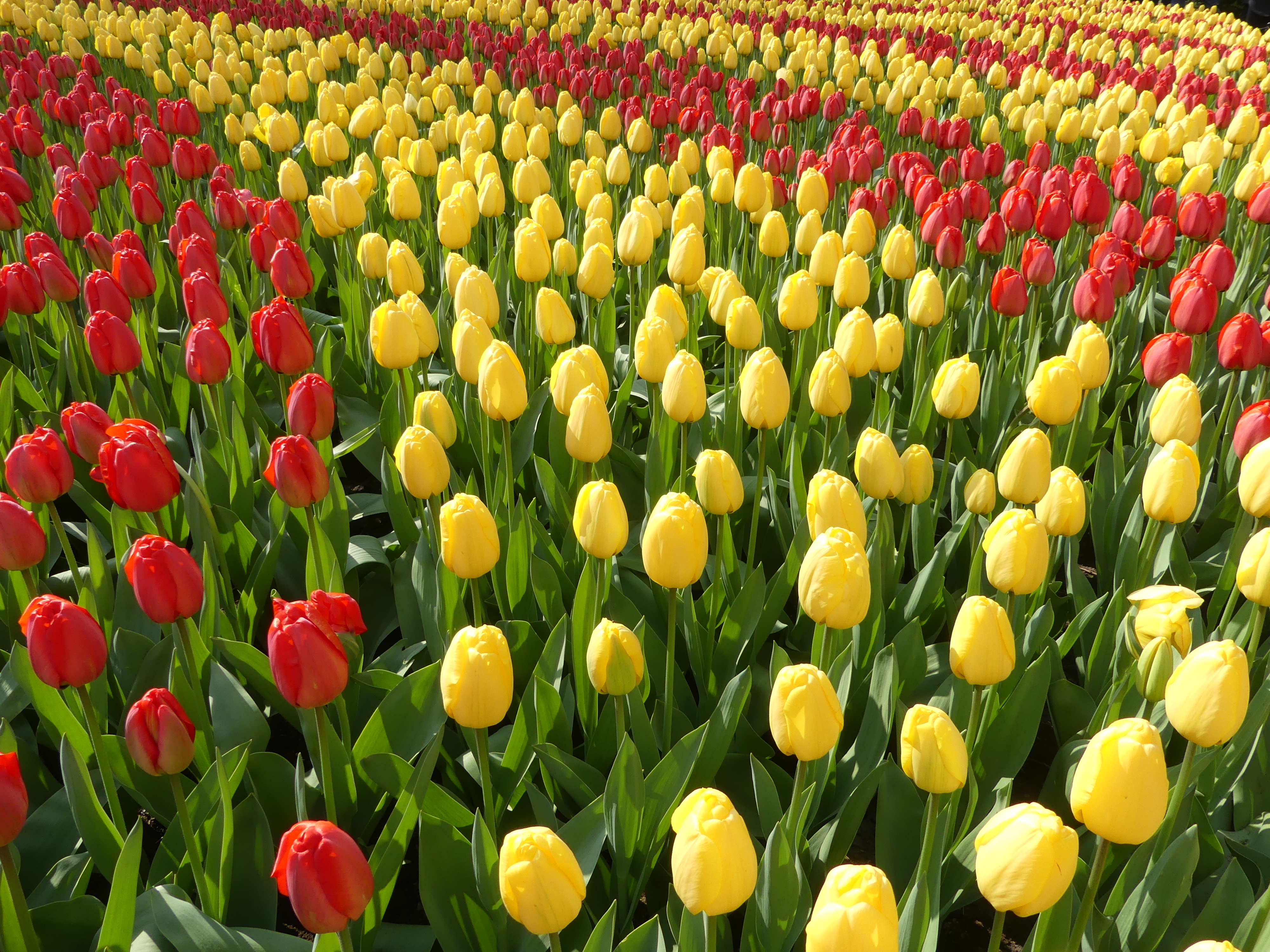 E738F0D5-340D-400D-9F7C-A264B2792F12