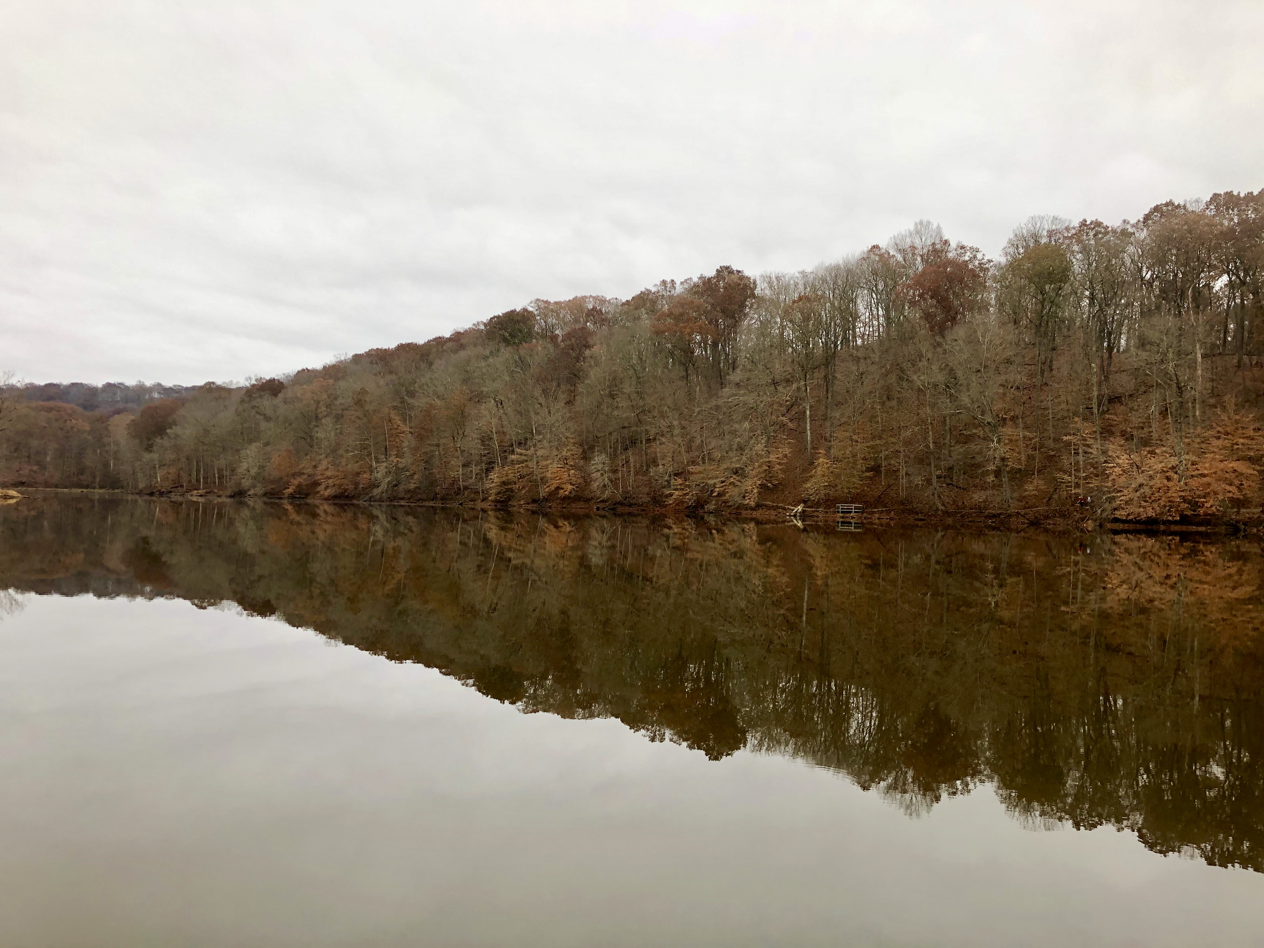 F20C42DB-16B6-40E1-AA5C-1C9CCF521609