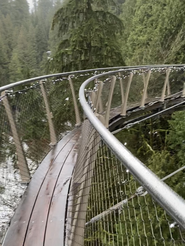 1D948350-CA30-45D6-B07C-9D192893E0EF