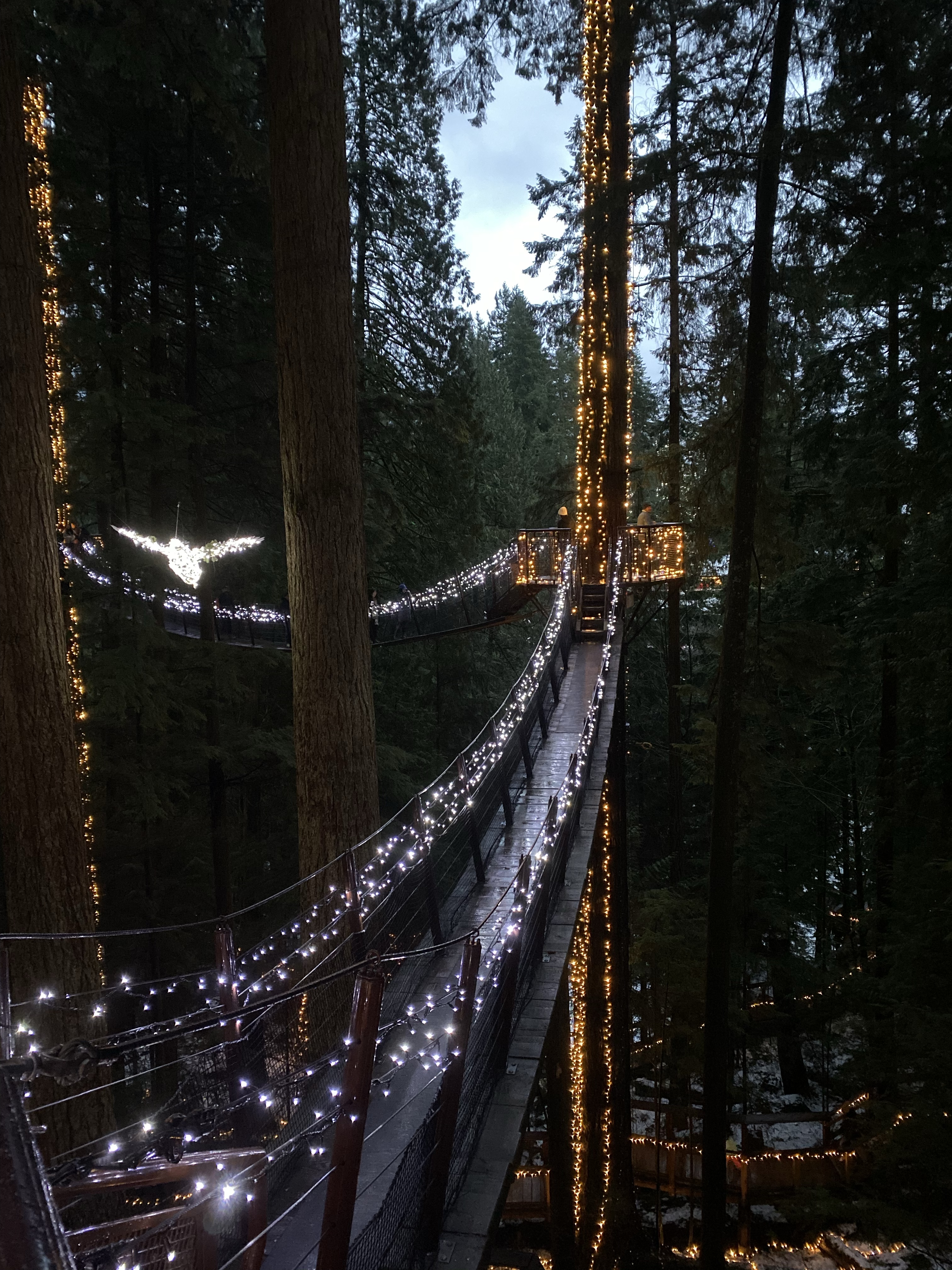 45FF3831-6B9C-4876-8B15-26ADE1B9A593