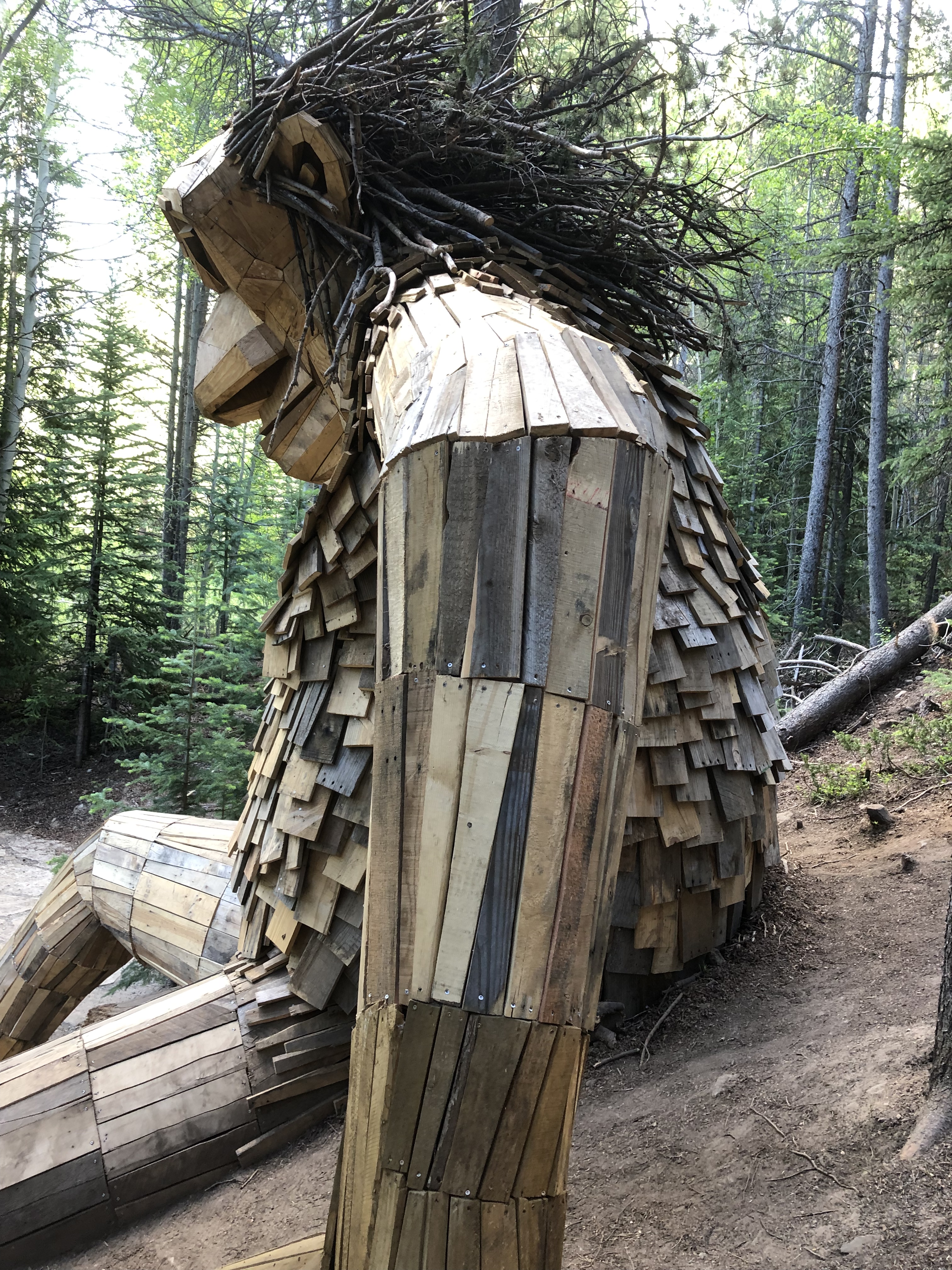 8ECBDFDF-8314-4E0F-B14B-8D70FD9B2964