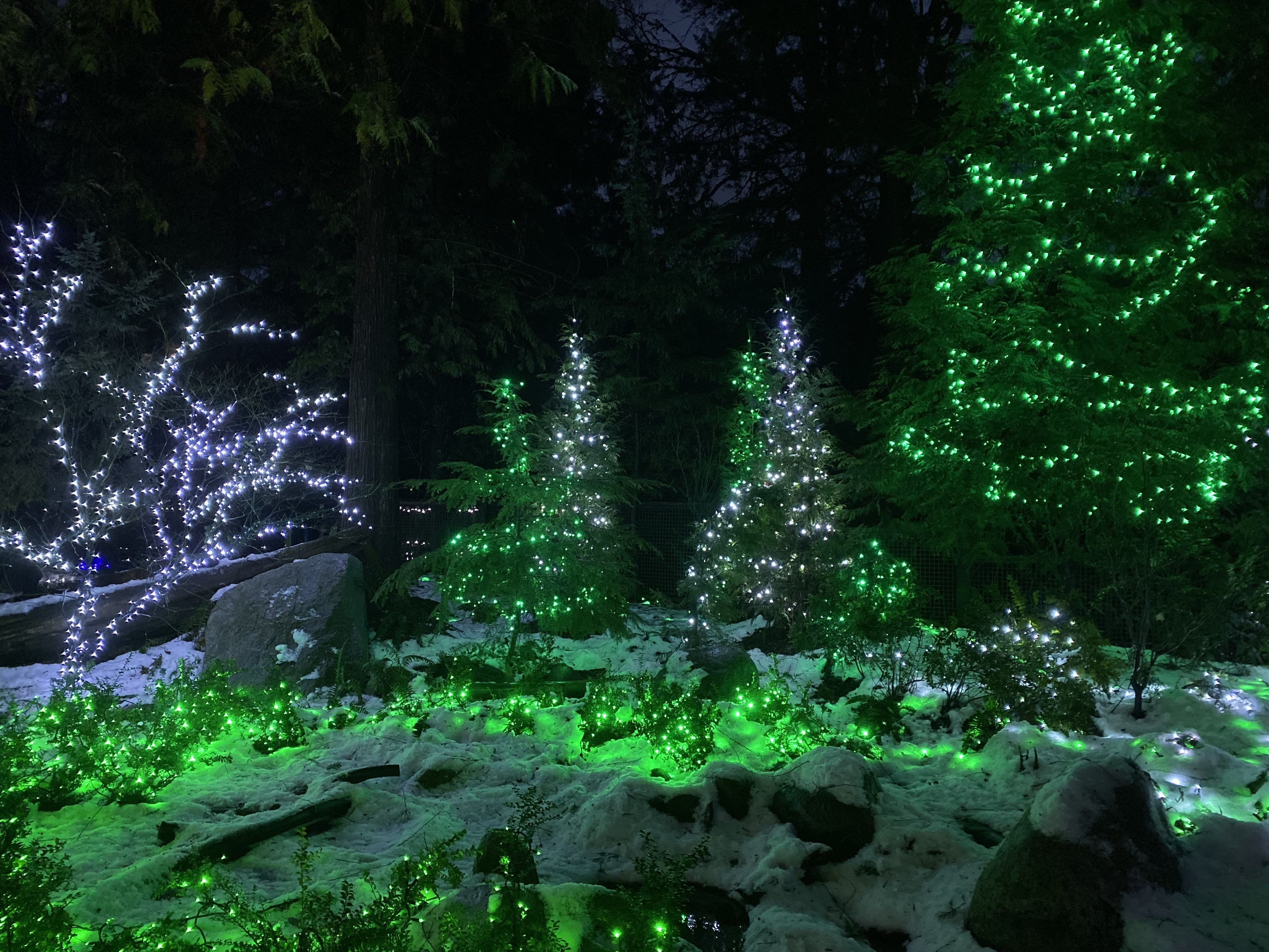 BB3AEC1F-8267-4E97-BD88-9AE9853E8797