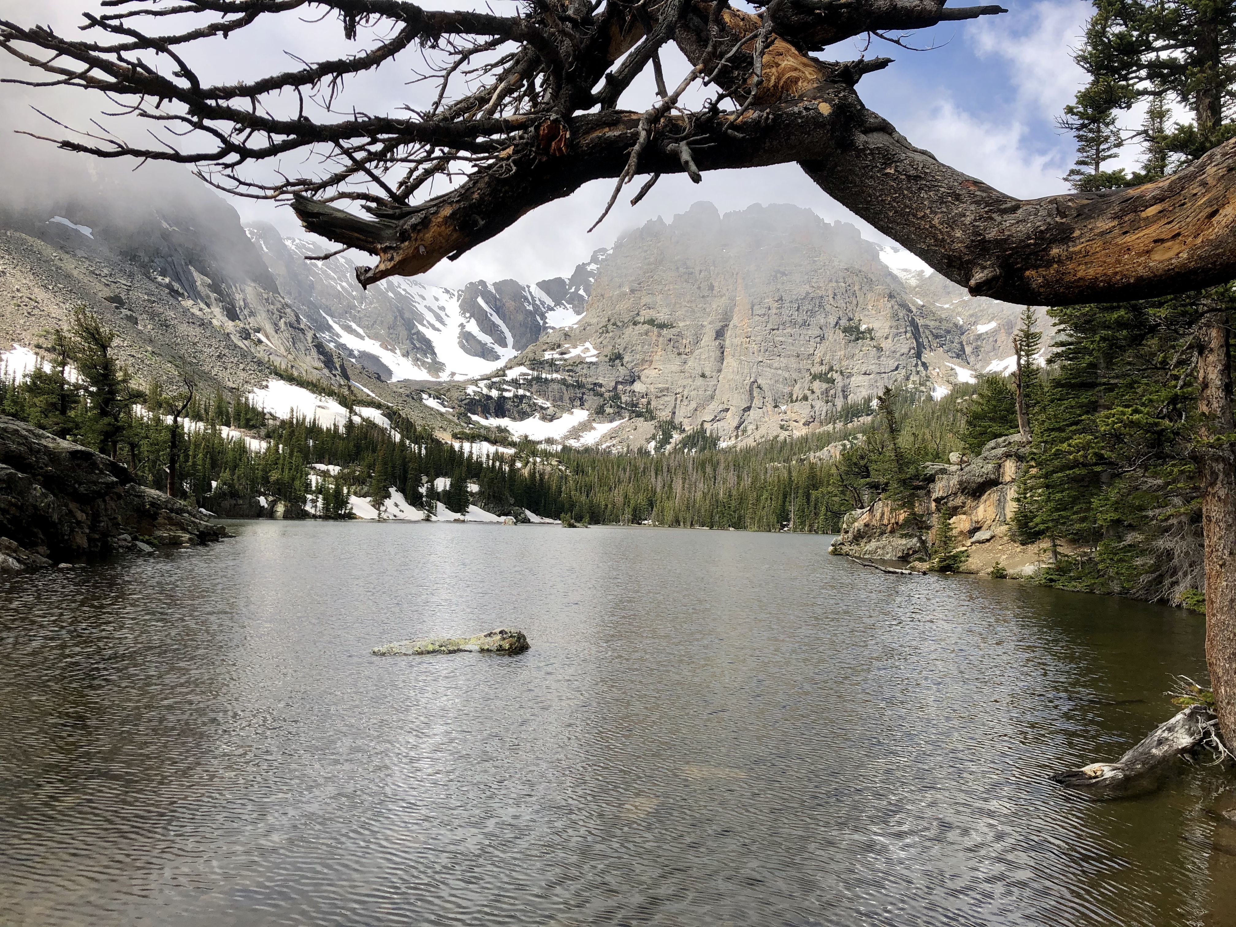 0C58A319-3EEE-4F0B-B81C-322A97412935