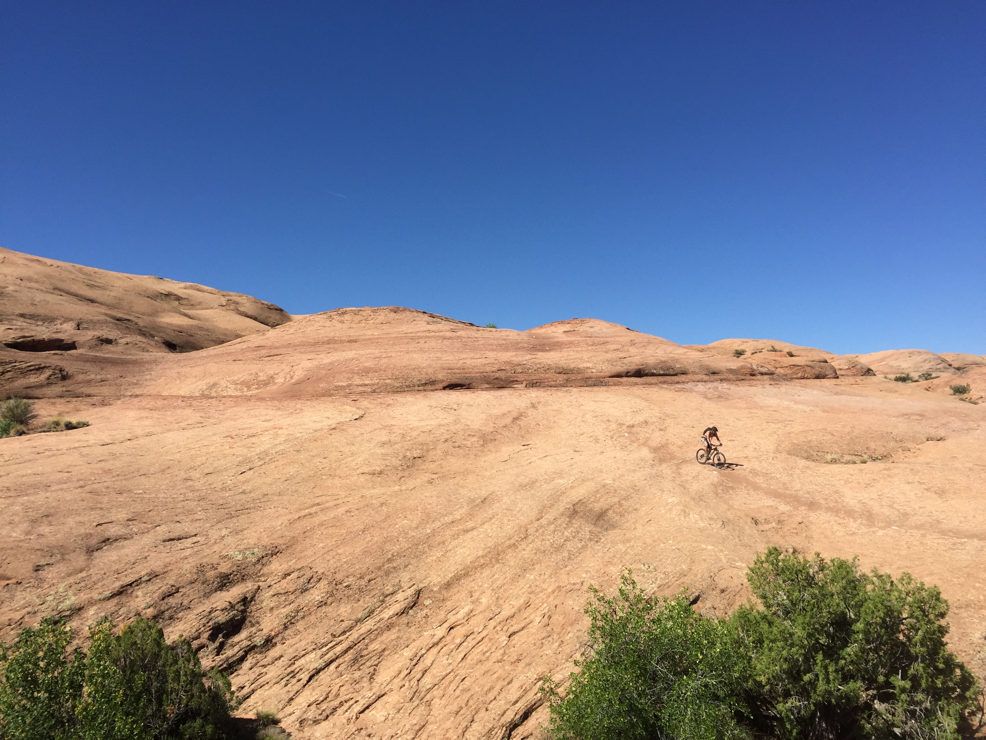 06607D7A-F25A-466F-94C8-1E3E6BDB7502