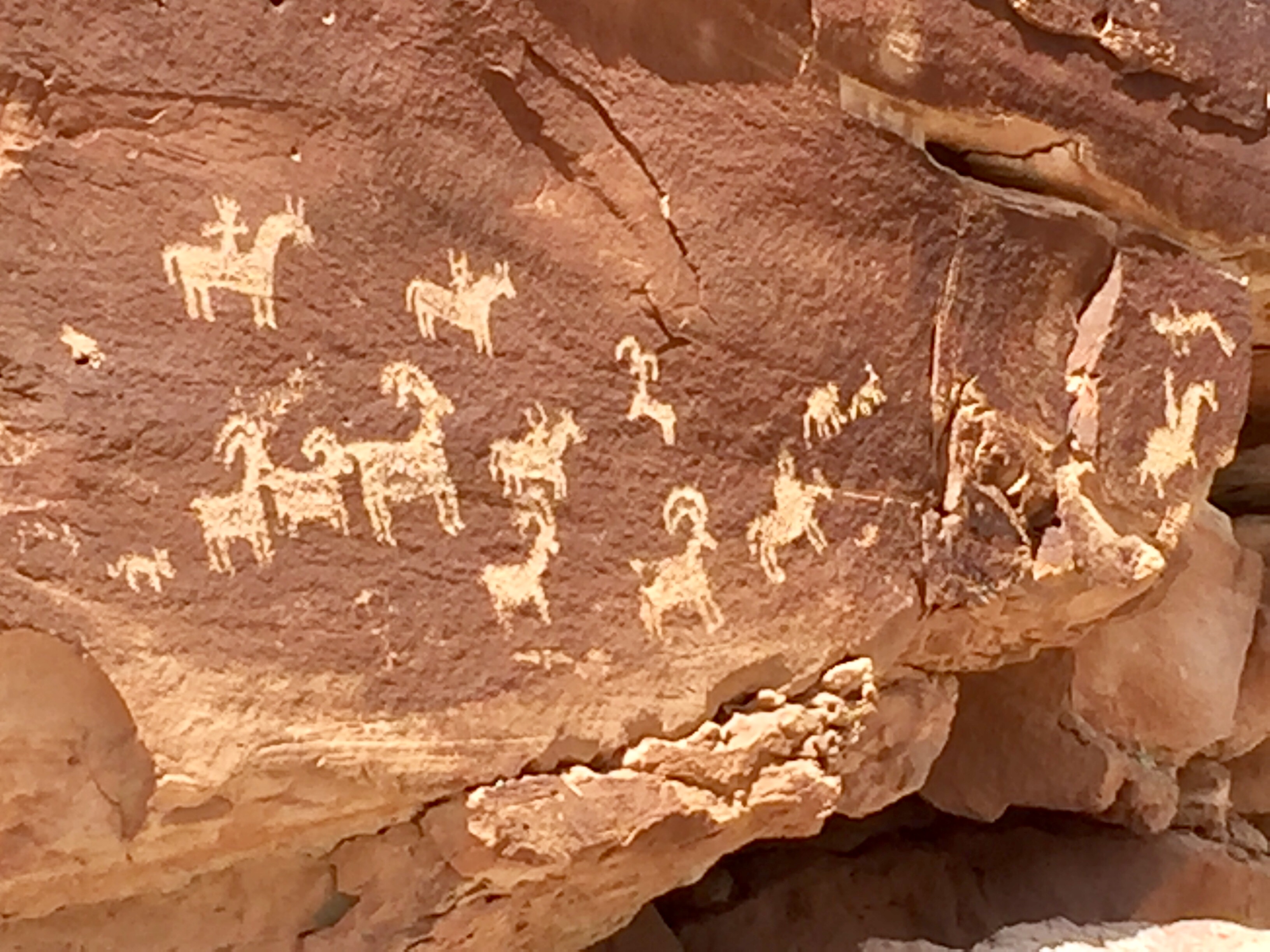 1CF3B74E-1DD6-4FE3-B574-32522E98A980