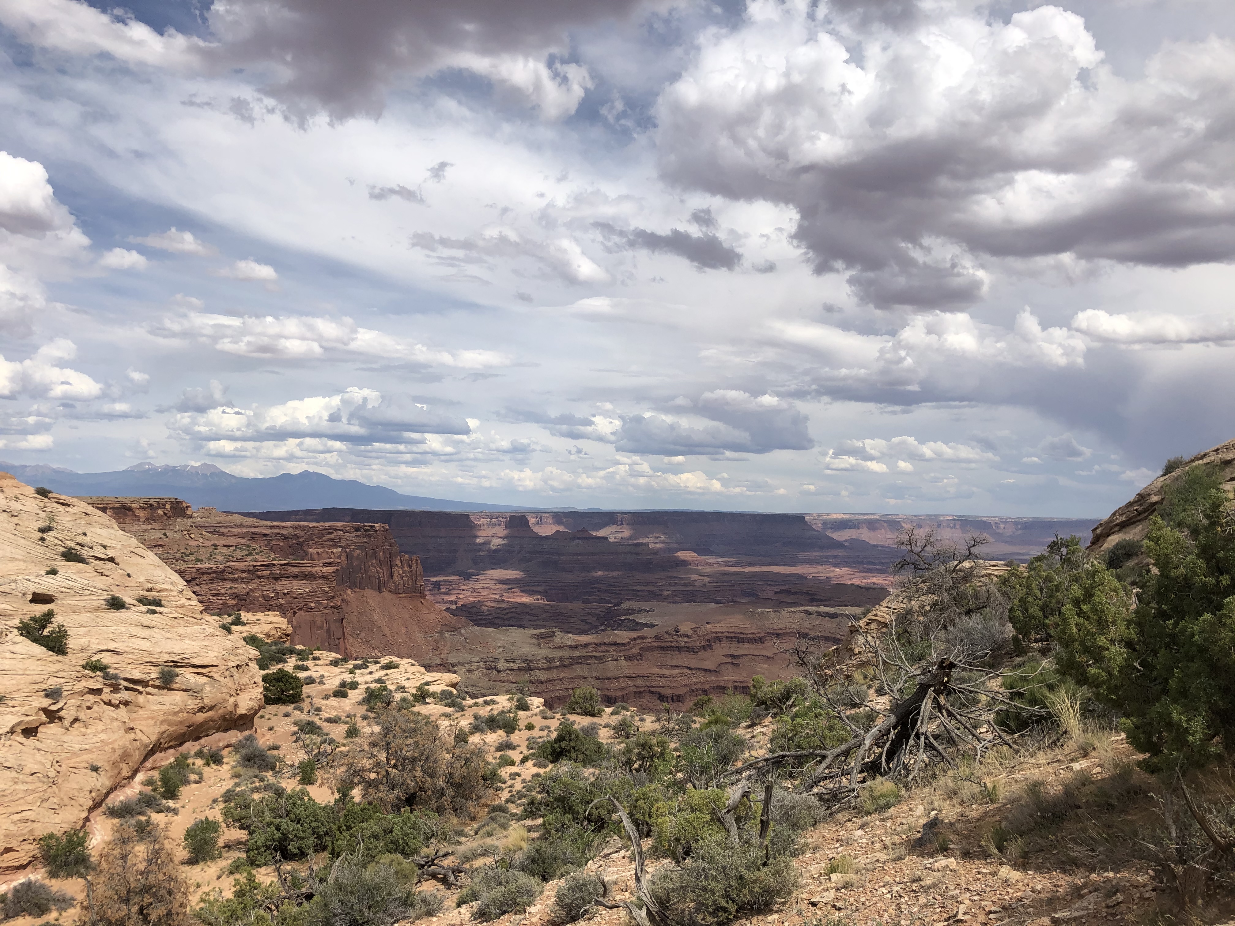 4EA583A8-8FE1-4F2E-B0E5-7041F08341D4